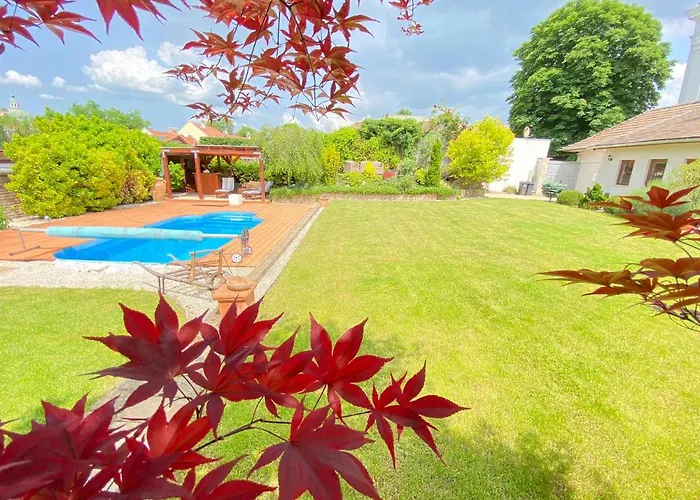 Vacon Var-lak Vendeghaz / Bird Nest